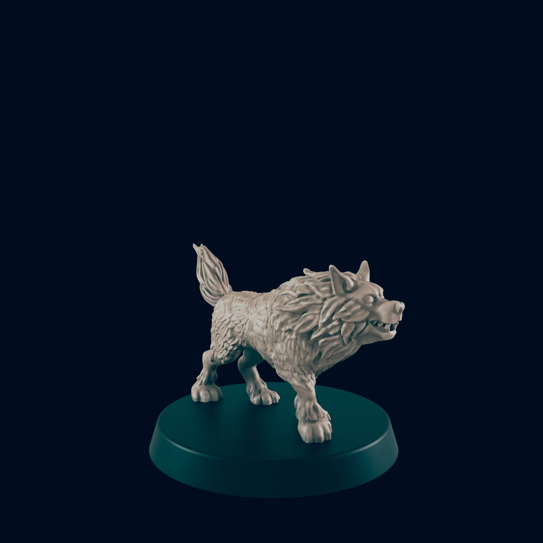 Wolf Pack 1