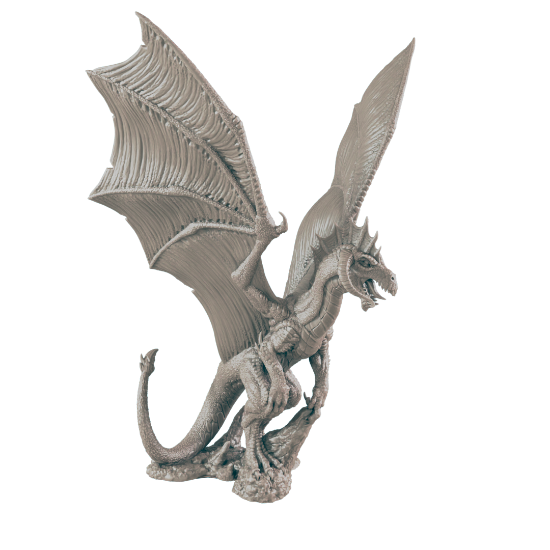 Young Black Dragon