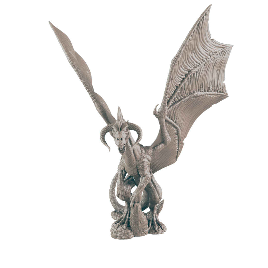 Young Black Dragon