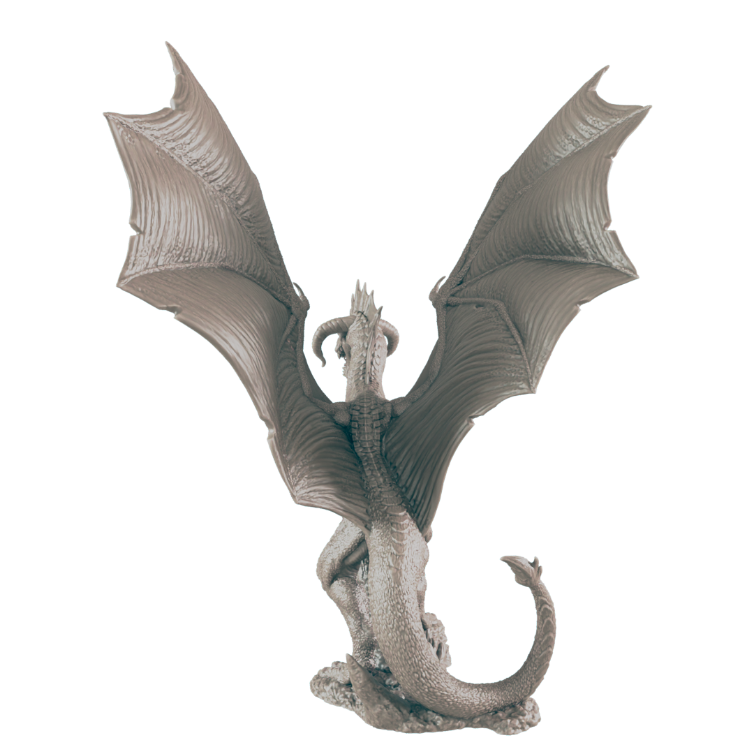 Young Black Dragon