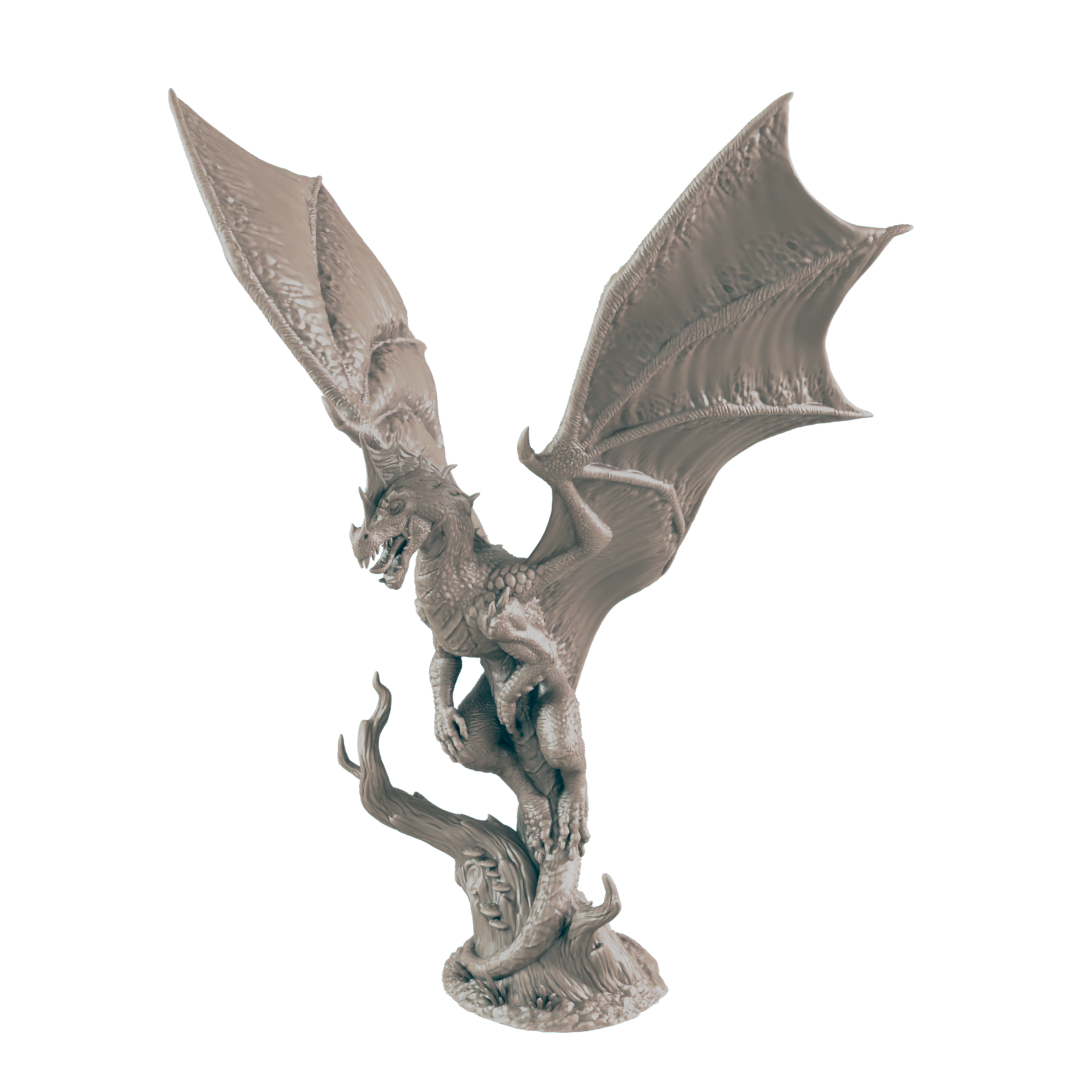 Young Green Dragon