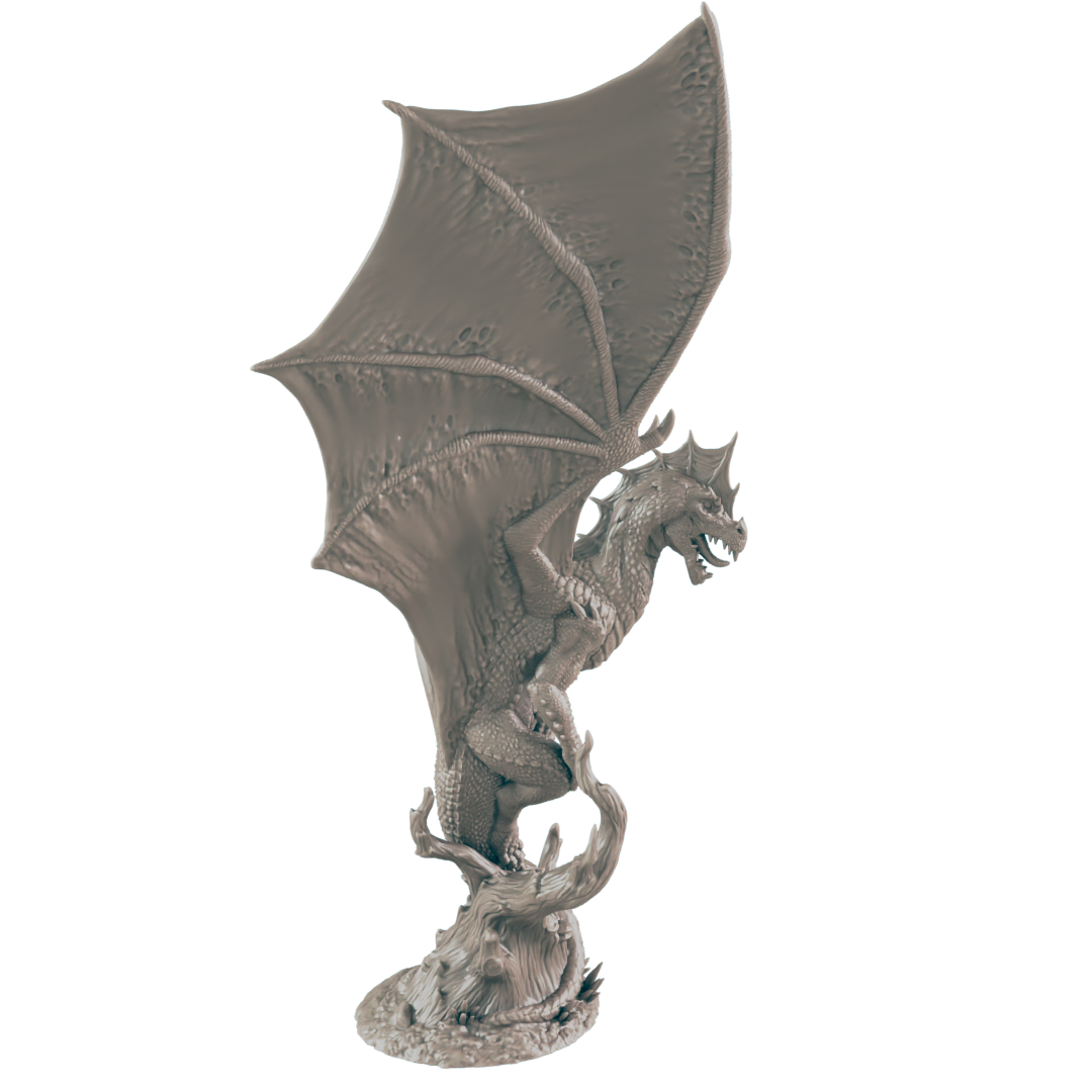 Young Green Dragon