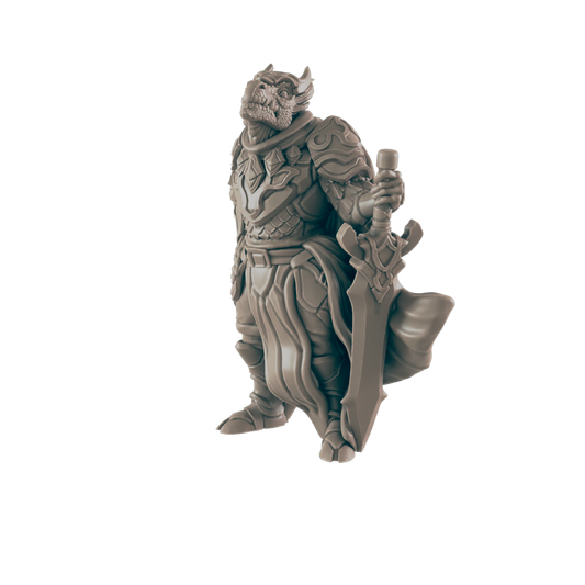 Dragonkin Male Paladin