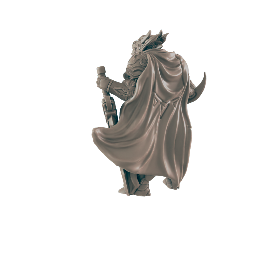 Dragonkin Male Paladin