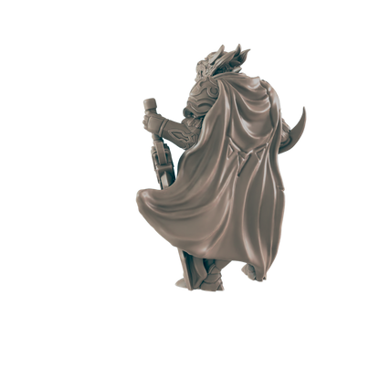 Dragonkin Male Paladin