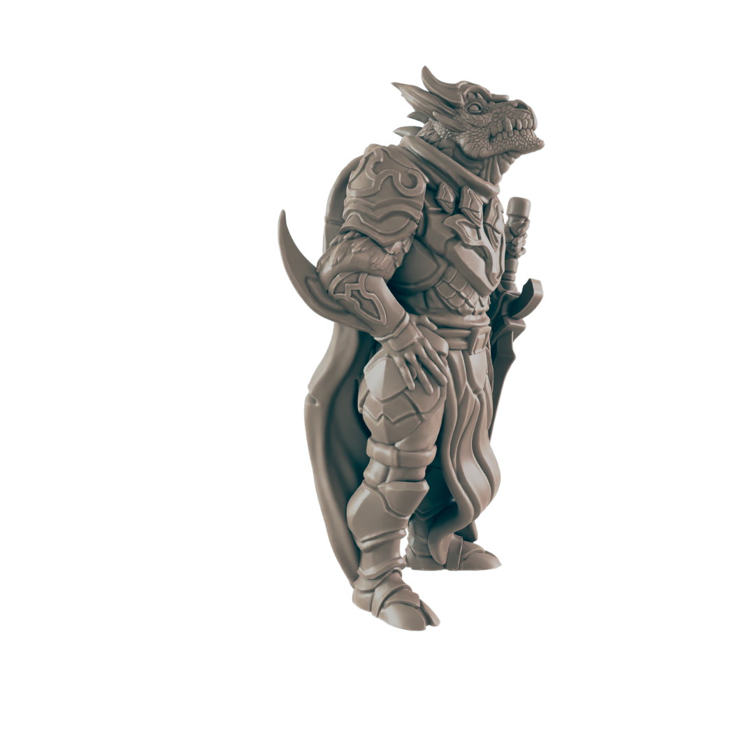 Dragonkin Male Paladin