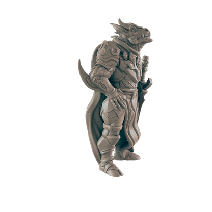 Dragonkin Male Paladin