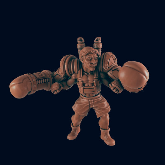 The Boxer