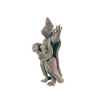 Dragonkin Female Cleric