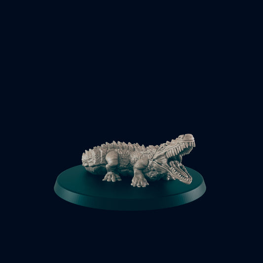 Crocodile