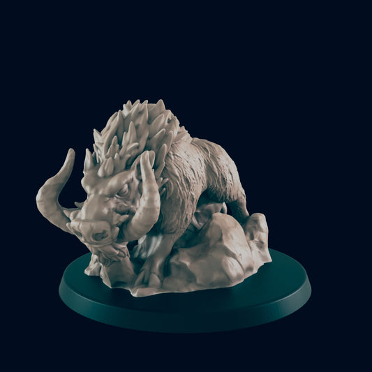 Dire Boar / Boars