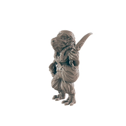 Dragonkin Swashbuckler