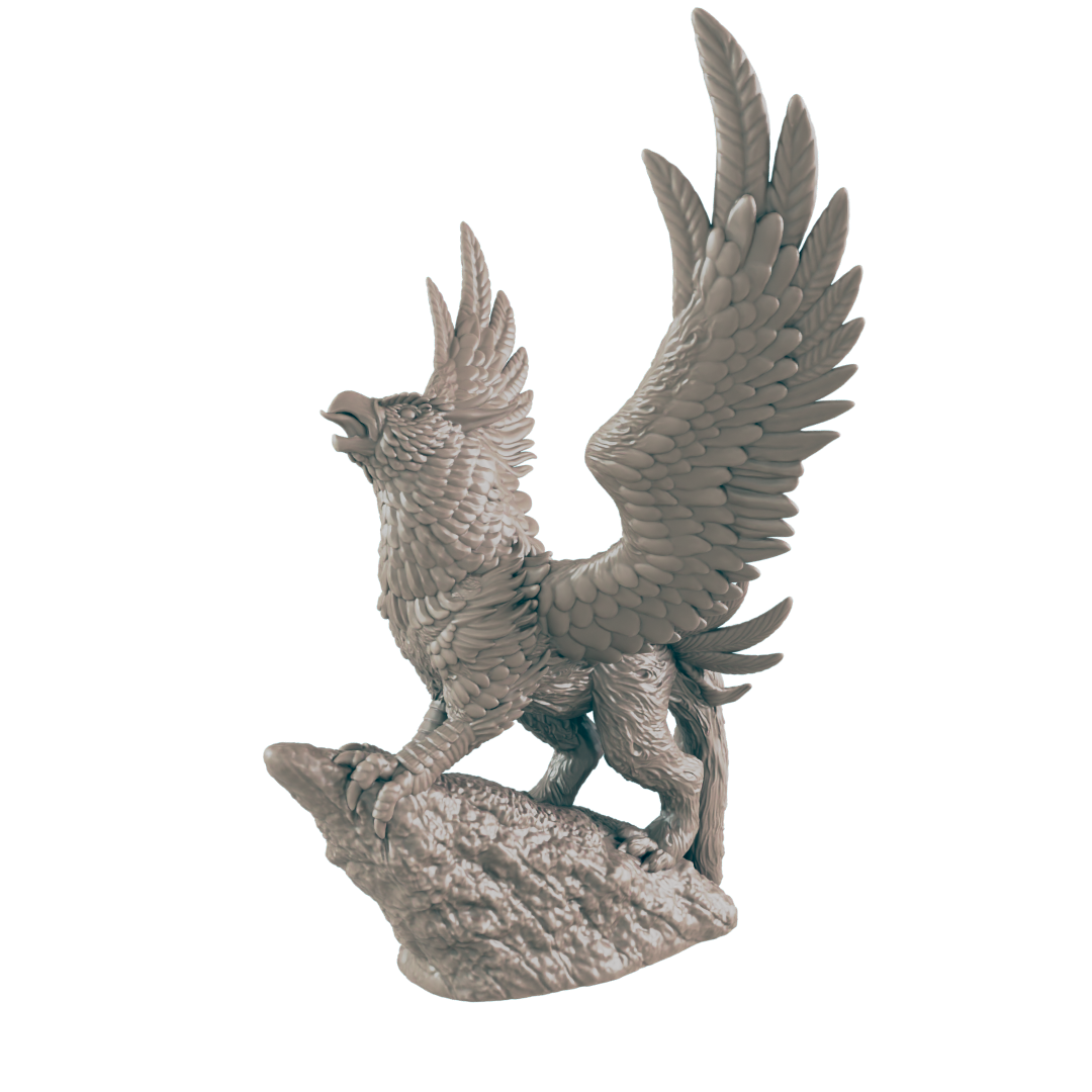 Griffon