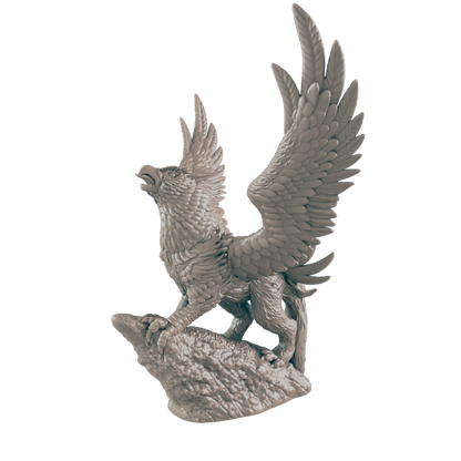 Griffon