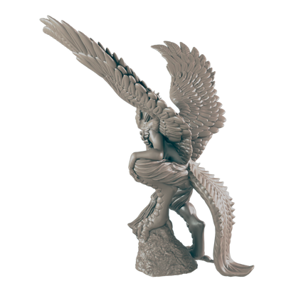Harpy