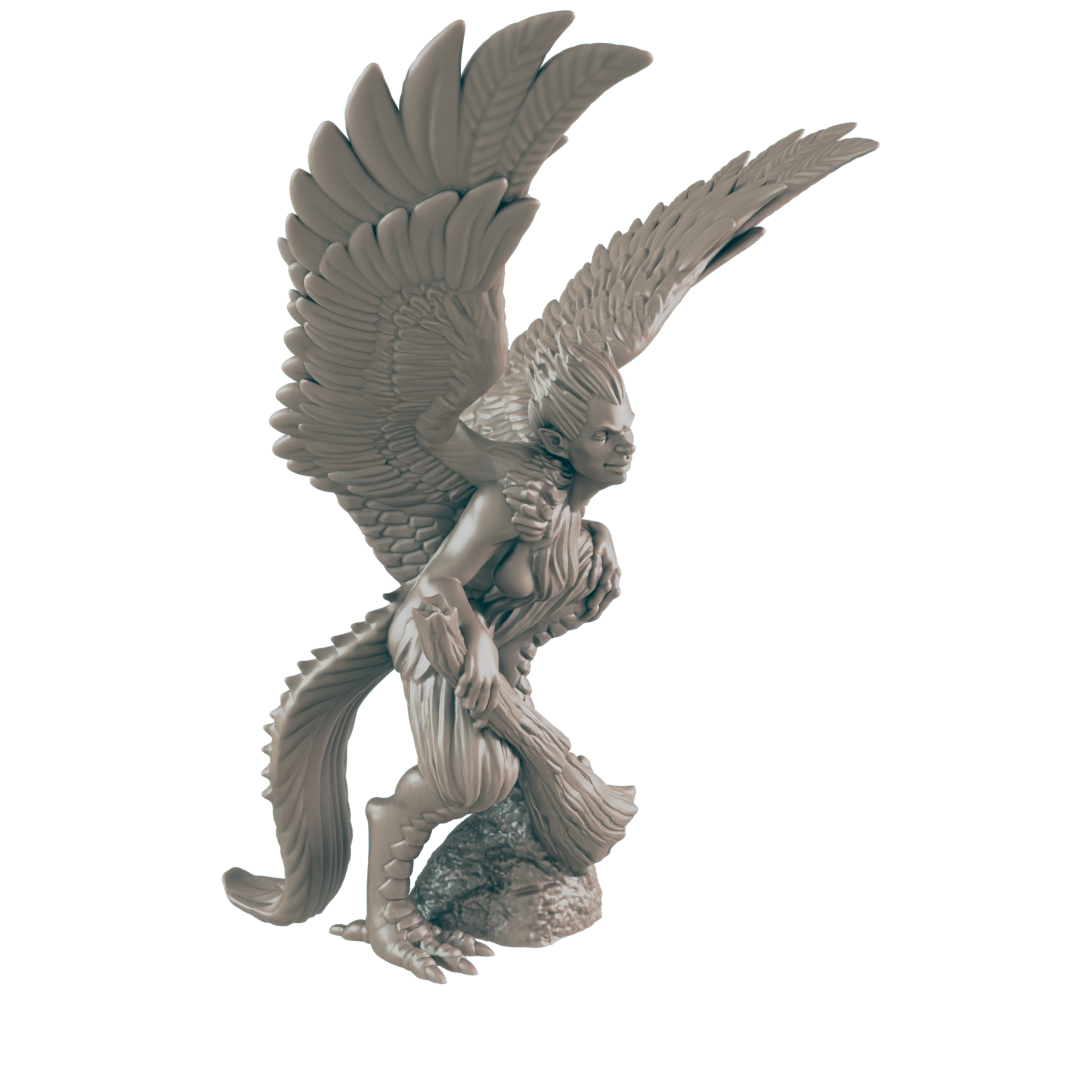 Harpy