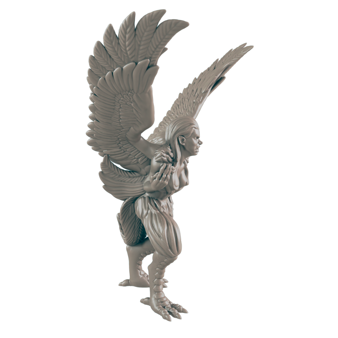 Harpy