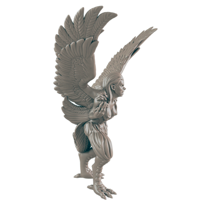 Harpy