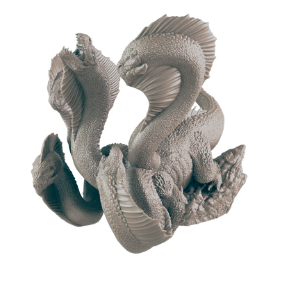 Hydra