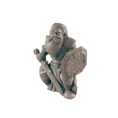 Dwarf Male Paladin