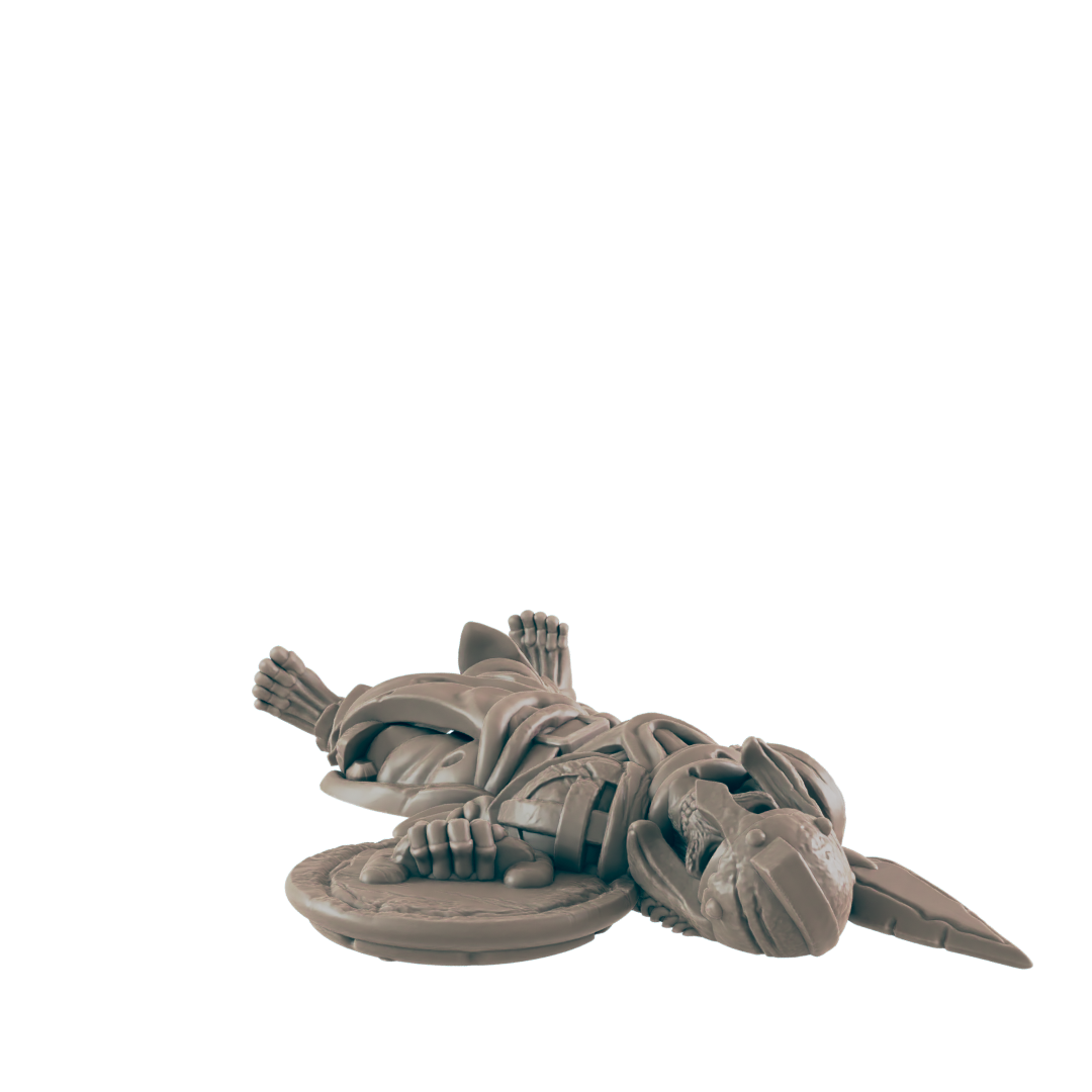 Skeleton