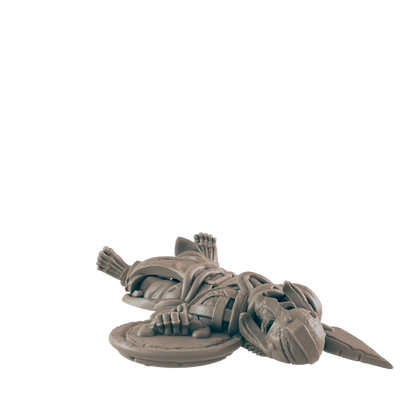 Skeleton