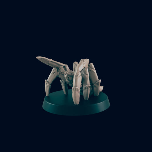 Giant Spider / Spiders