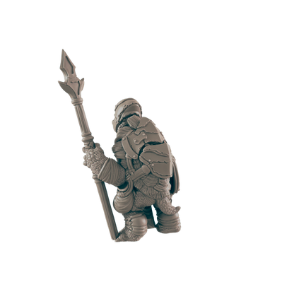 Turtlefolk Guardsman