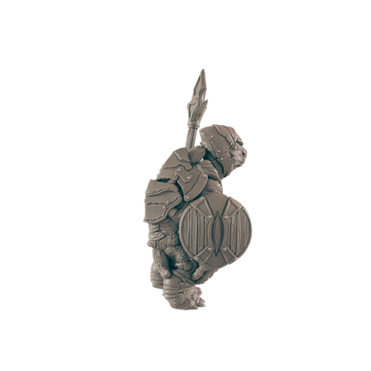 Turtlefolk Guardsman