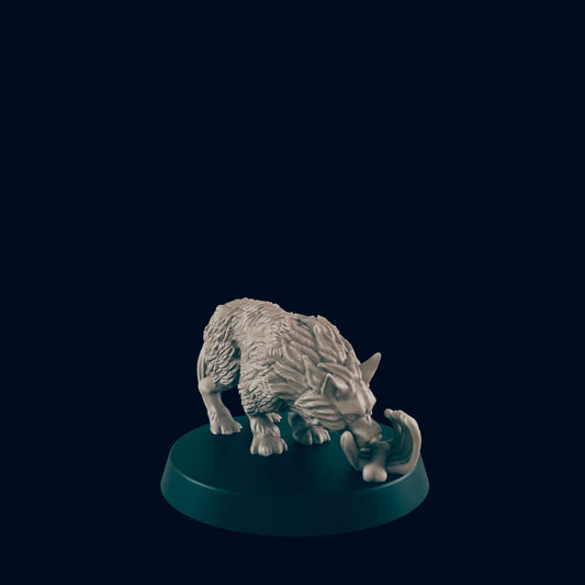 Wolf Pack 1