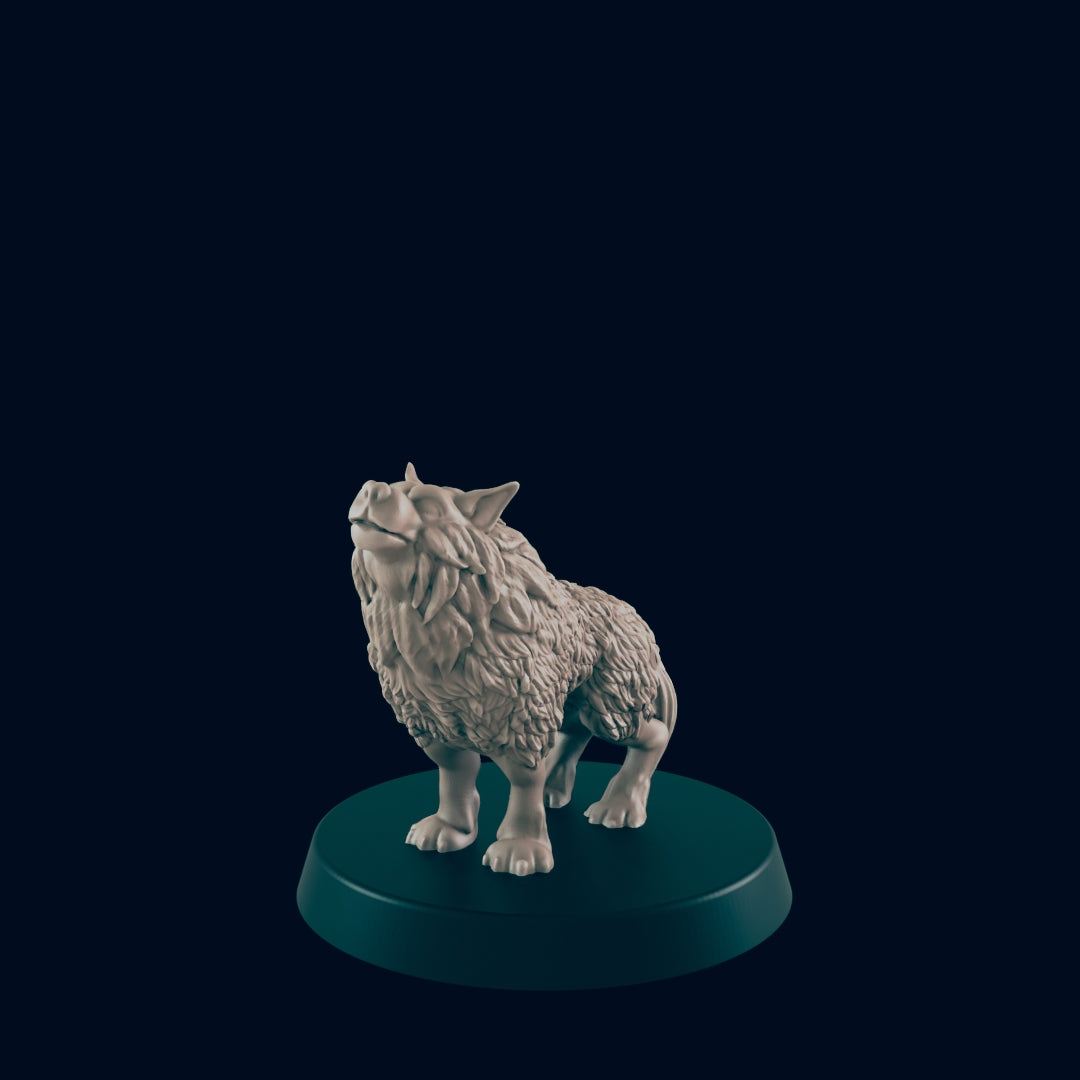 Wolf Pack 1
