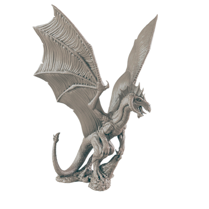 Young Black Dragon