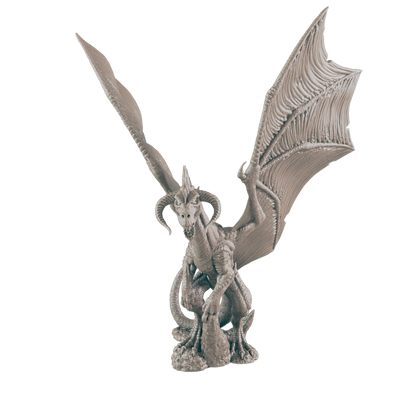 Young Black Dragon