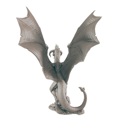 Young Black Dragon