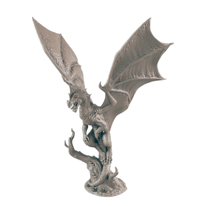 Young Green Dragon
